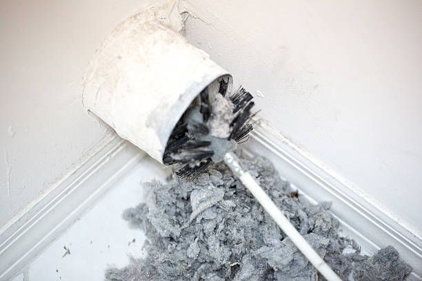 Best Air Vent Cleaning Services  in Pierce, CO